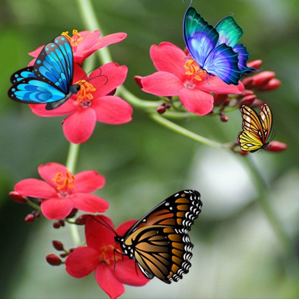 Meet your Posher, Rachael